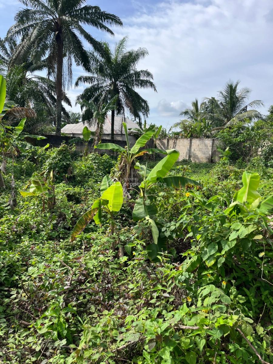 a Parcel of Dry Land, Holy Itu Road, Ikot Ekpene, Uyo, Akwa Ibom, Mixed-use Land for Sale