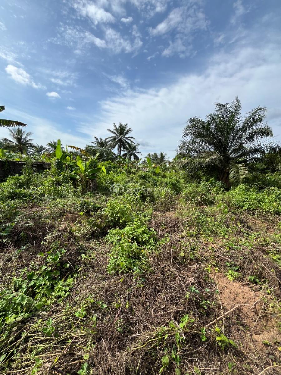 a Parcel of Dry Land, Holy Itu Road, Ikot Ekpene, Uyo, Akwa Ibom, Mixed-use Land for Sale
