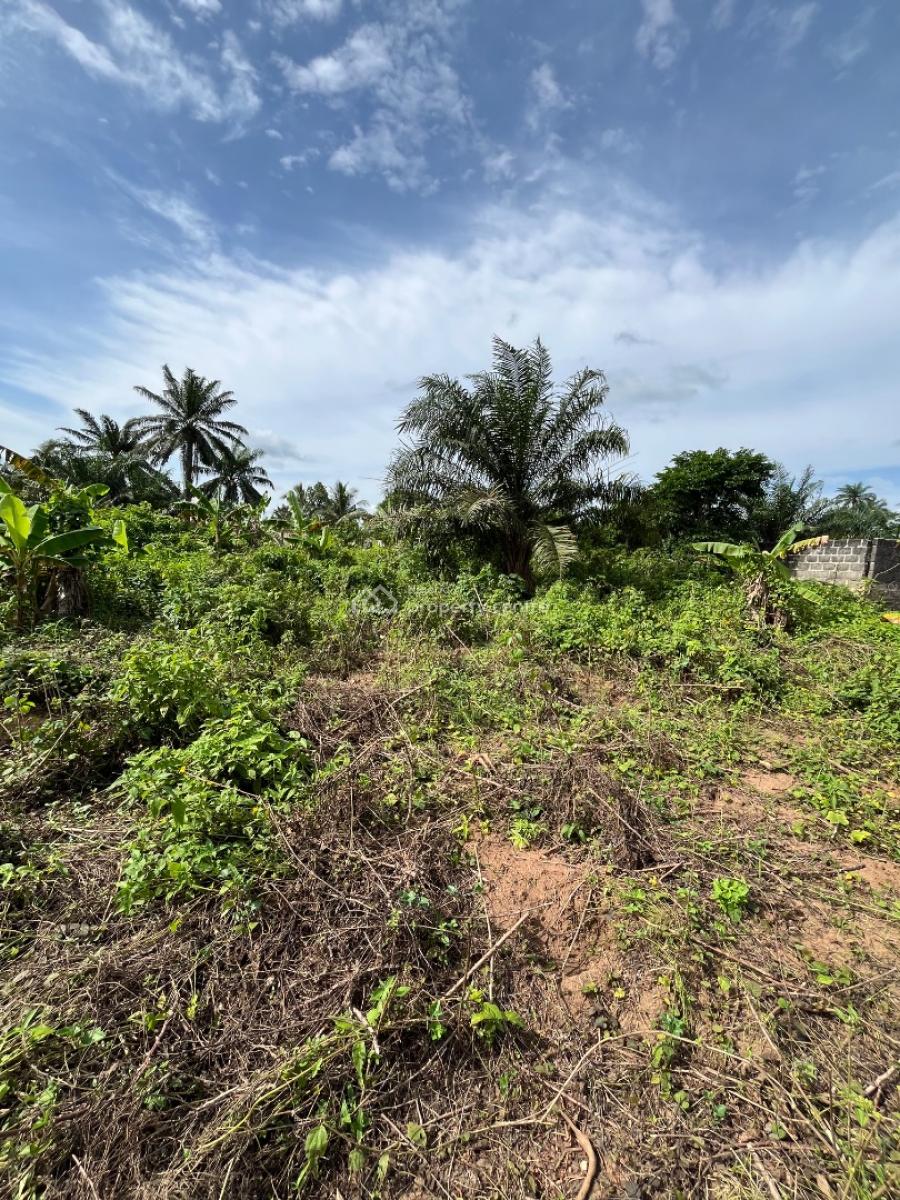 a Parcel of Dry Land, Holy Itu Road, Ikot Ekpene, Uyo, Akwa Ibom, Mixed-use Land for Sale