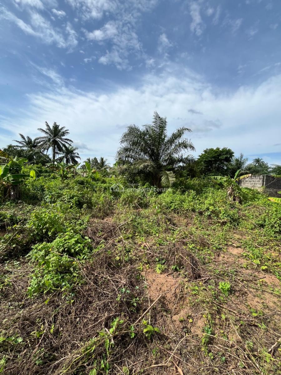 a Parcel of Dry Land, Holy Itu Road, Ikot Ekpene, Uyo, Akwa Ibom, Mixed-use Land for Sale