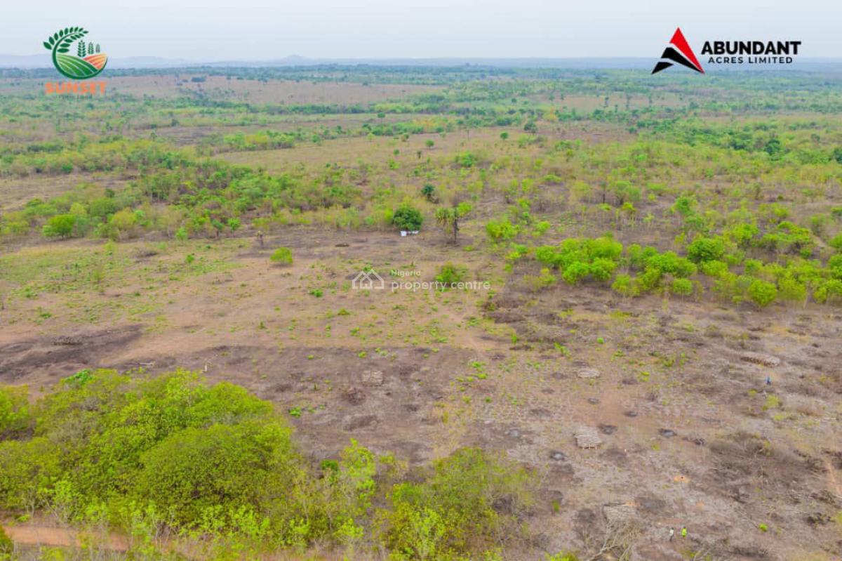 Farm Land for Palm Oil Investment, Odeda Local Government, Abeokuta, Ogun State, Odeda, Ogun, Industrial Land for Sale