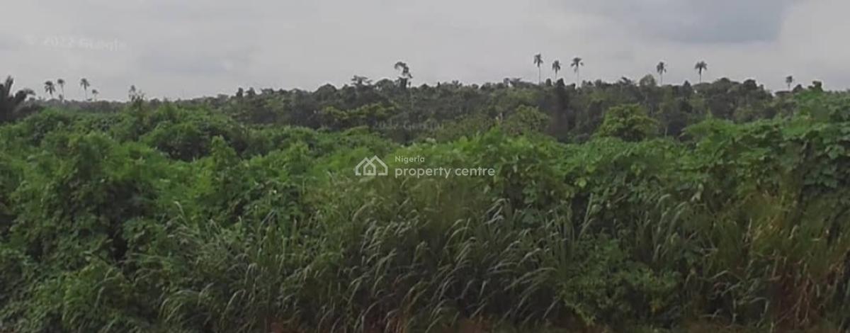 2000 Acres (suitable for Large-scale Development and Can Be Allocated, Along Lagos-ibadan Expressway, Directly Opposite Foursquare Camp, Adja, Berger, Arepo, Ogun, Mixed-use Land for Sale