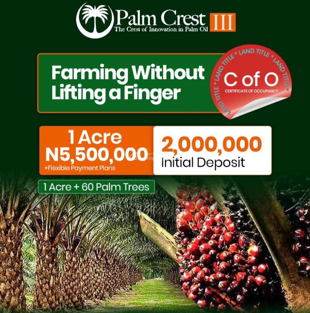 Acres of  Palm Farm Land with  C of O, Palm Crest Located Along Iseyin  Okeho Road, Iseyin, Oyo, Commercial Land for Sale