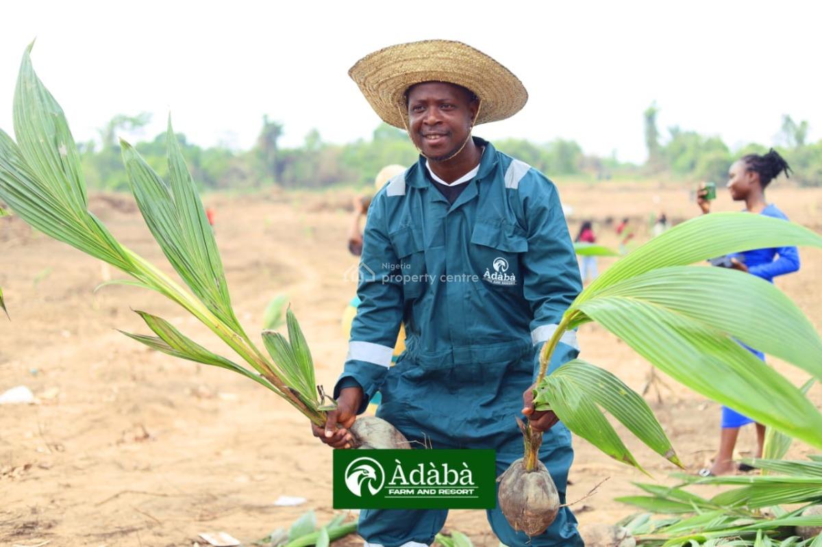 Invest in Cocoa Nut Farm, Adaba Farms, Obafemi Owode, Ogun, Commercial Land for Sale