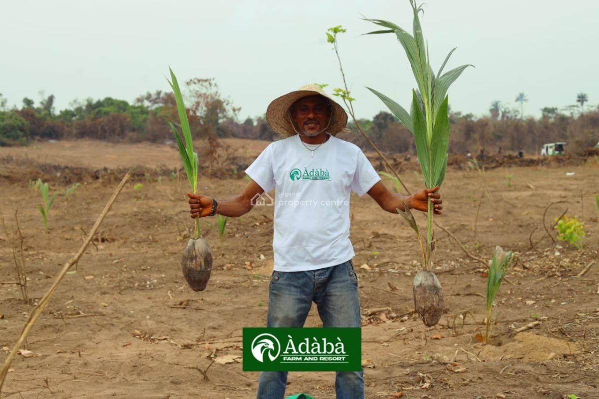 Invest in Cocoa Nut Farm, Adaba Farms, Obafemi Owode, Ogun, Commercial Land for Sale