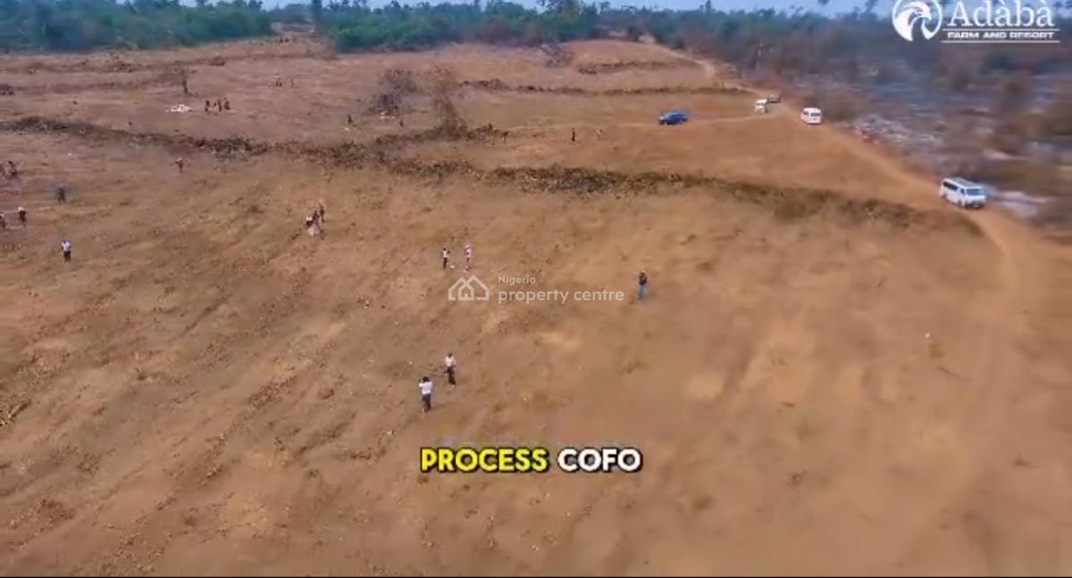 Invest in Cocoa Nut Farm, Adaba Farms, Obafemi Owode, Ogun, Commercial Land for Sale