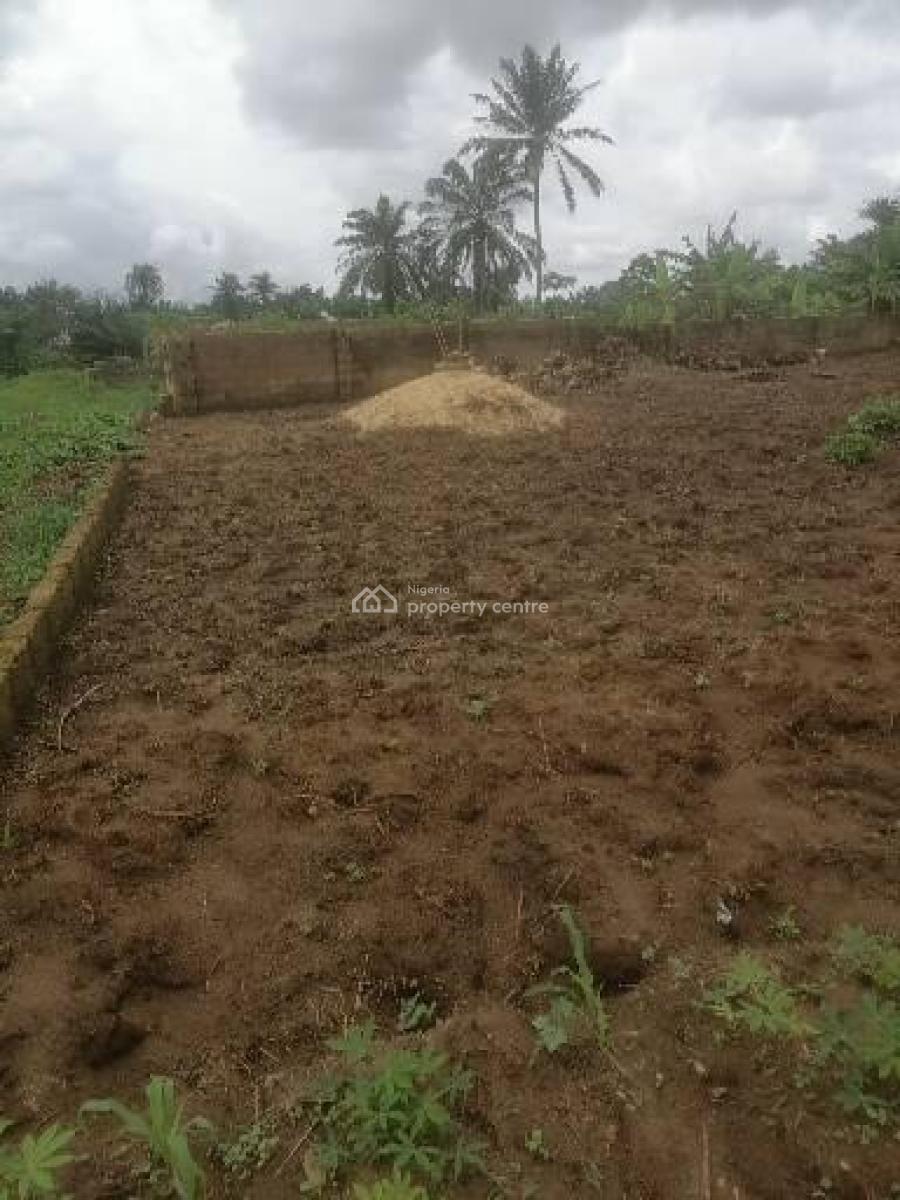 Affordable 1000sqm Dry Land for Residential & Commercial Use, Abak Road, After Ekom Iman Flyover, Uyo, Akwa Ibom, Mixed-use Land for Sale