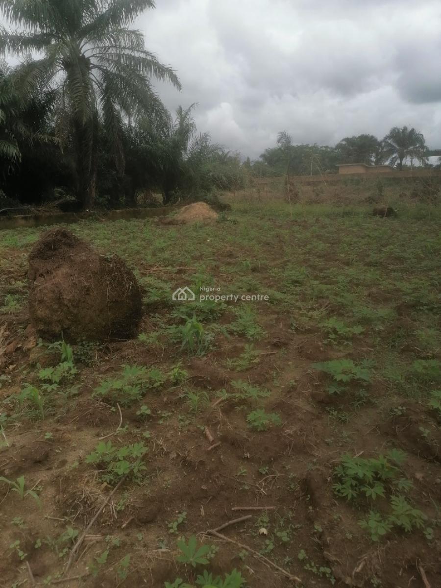 Affordable 1000sqm Dry Land for Residential & Commercial Use, Abak Road, After Ekom Iman Flyover, Uyo, Akwa Ibom, Mixed-use Land for Sale