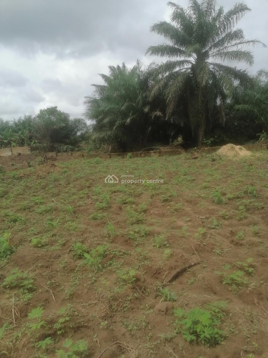 Affordable 1000sqm Dry Land for Residential & Commercial Use, Abak Road, After Ekom Iman Flyover, Uyo, Akwa Ibom, Mixed-use Land for Sale