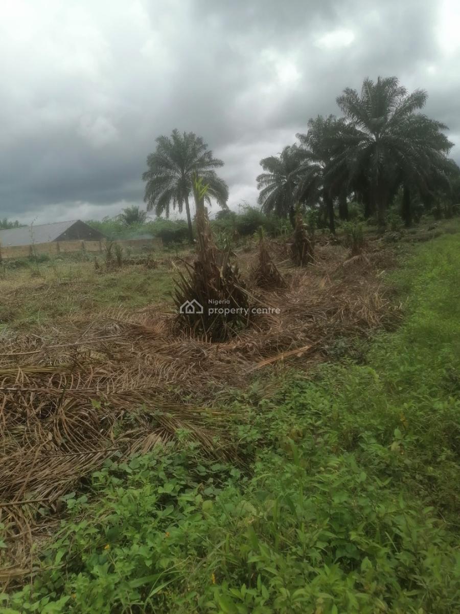 Affordable 1000sqm Dry Land for Residential & Commercial Use, Abak Road, After Ekom Iman Flyover, Uyo, Akwa Ibom, Mixed-use Land for Sale