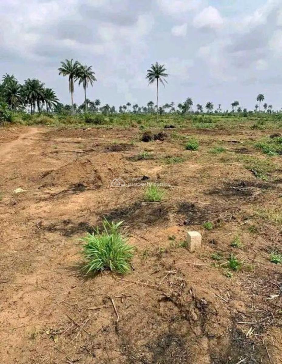 600sqm Fully-serviced Land in a Fast-developing Environment, Ikot Ekpene Road, Uyo, Akwa Ibom, Mixed-use Land for Sale