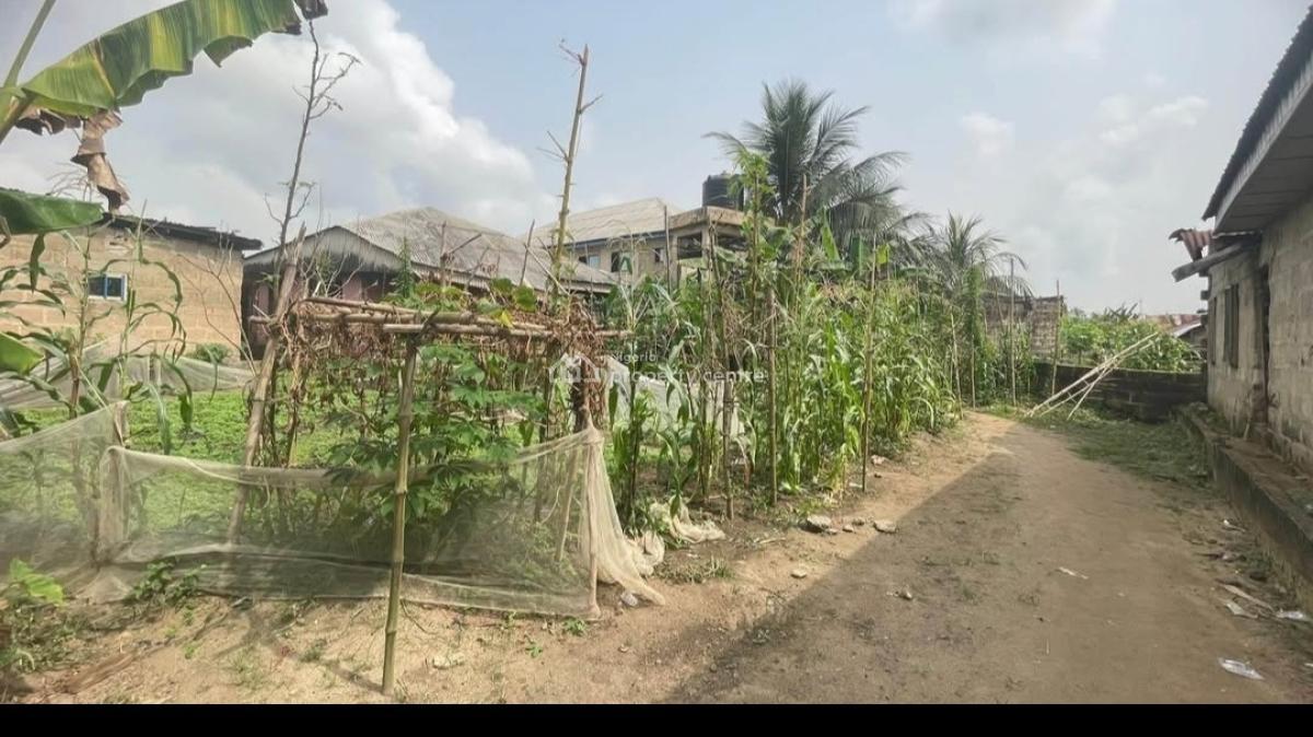 700sqm Investor-grade Property with Existing Structure, Atiku Abubakar Way, Uyo, Akwa Ibom, Mixed-use Land for Sale