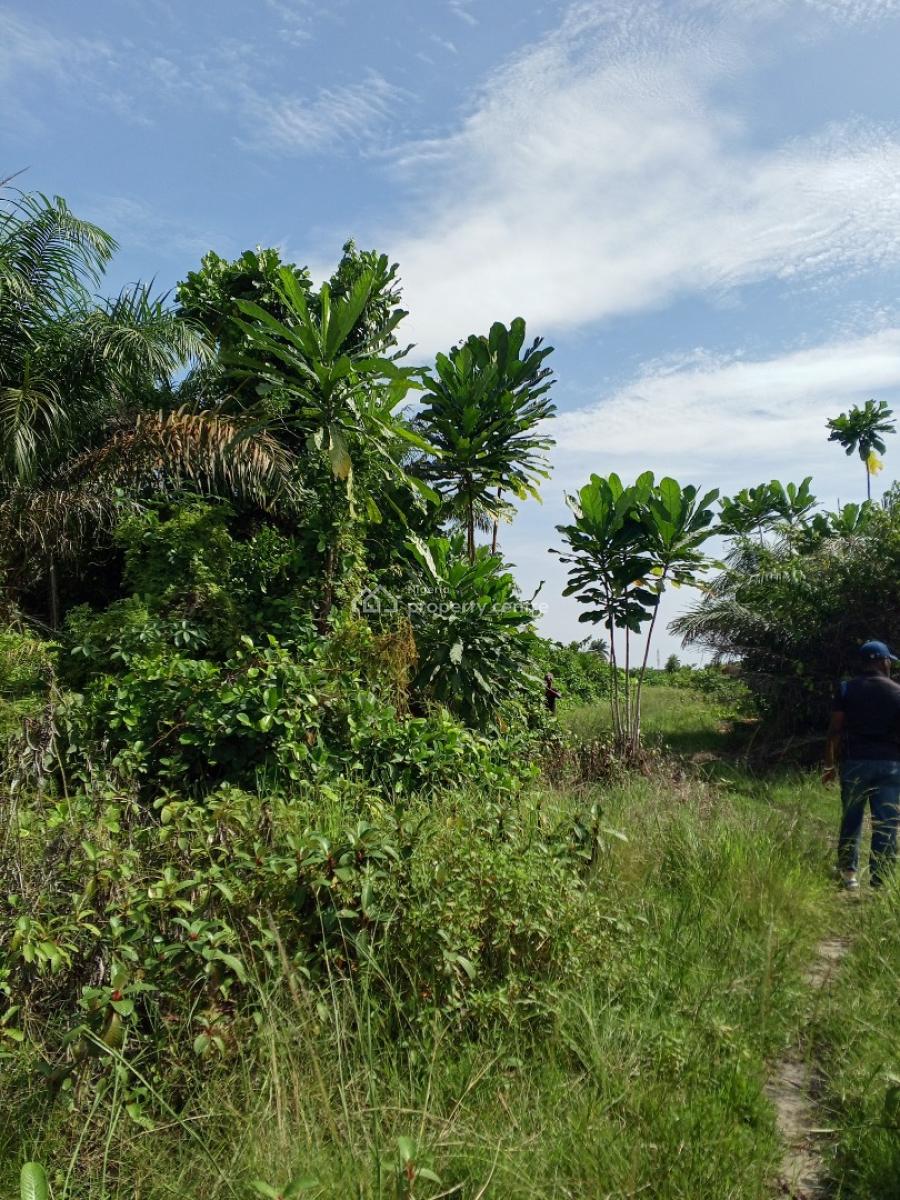 Affordable Full Plot Dry Land, Lewu- Odo Community, Awoyaya, Ibeju Lekki, Lagos, Residential Land for Sale