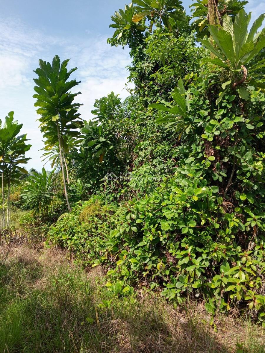 Affordable Full Plot Dry Land, Lewu- Odo Community, Awoyaya, Ibeju Lekki, Lagos, Residential Land for Sale