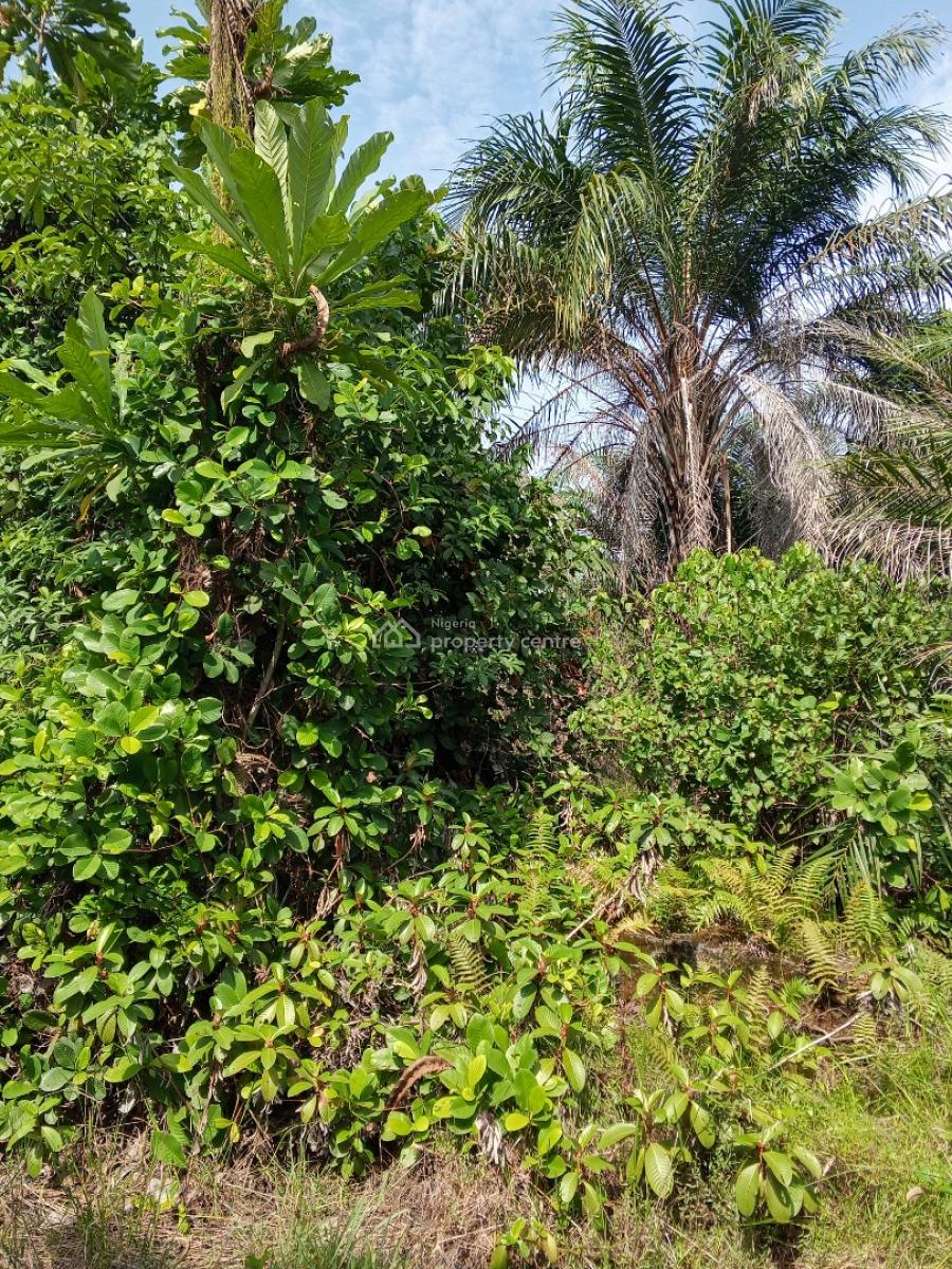 Affordable Full Plot Dry Land, Lewu- Odo Community, Awoyaya, Ibeju Lekki, Lagos, Residential Land for Sale