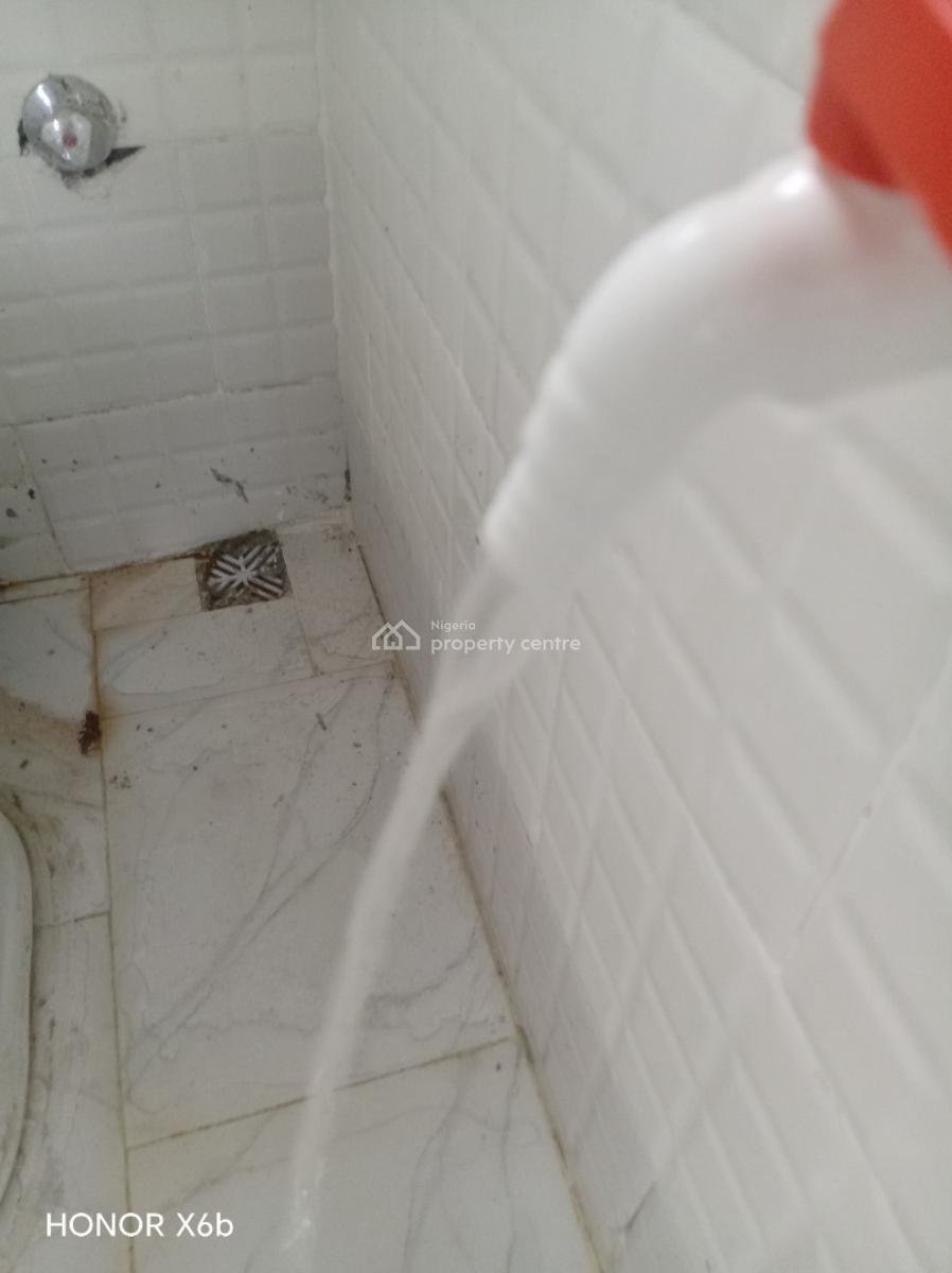 a Luxury Mini Flat with Excel, Harmony  Estate, Badore, Ajah, Lagos, Mini Flat (room and Parlour) for Rent