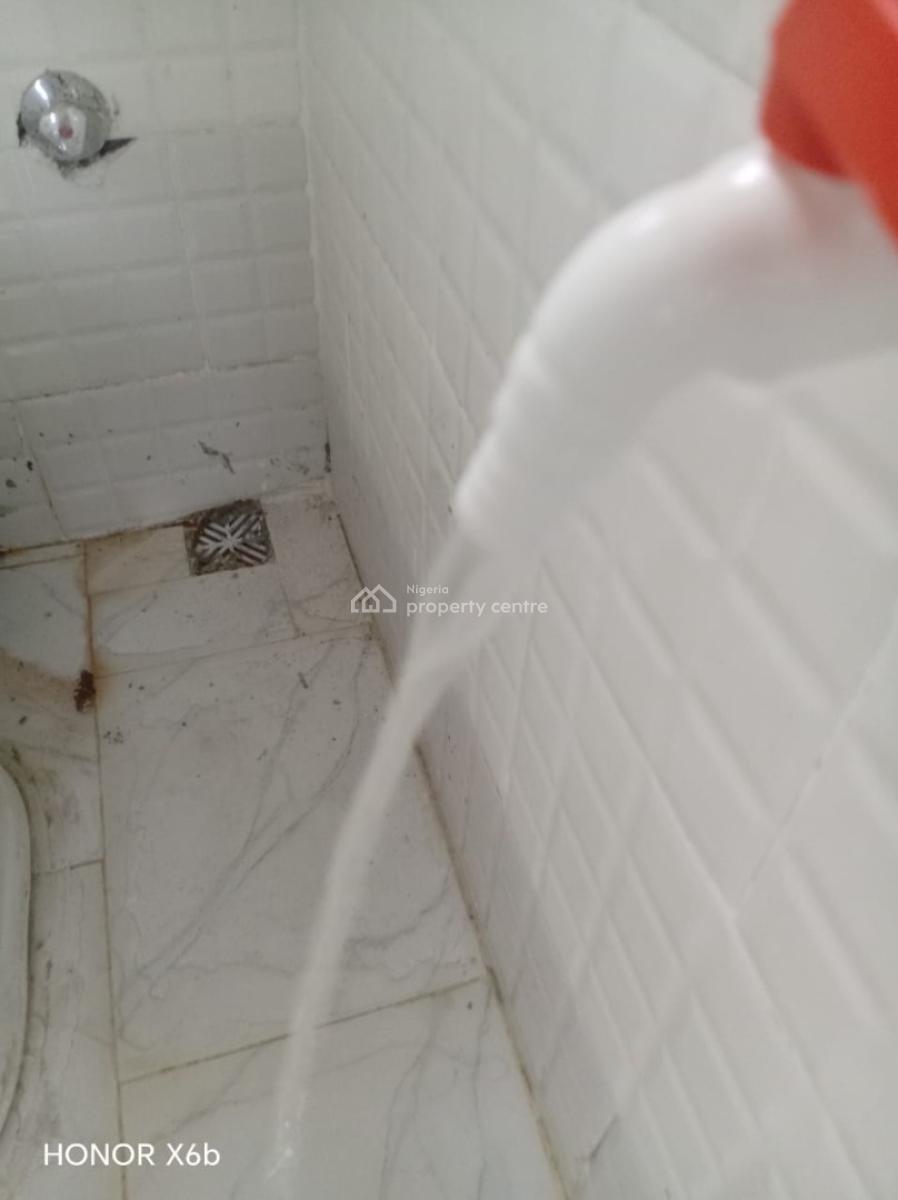 a Luxury Mini Flat with Excel, Harmony Estate, Badore, Ajah, Lagos, Mini Flat (room and Parlour) for Rent