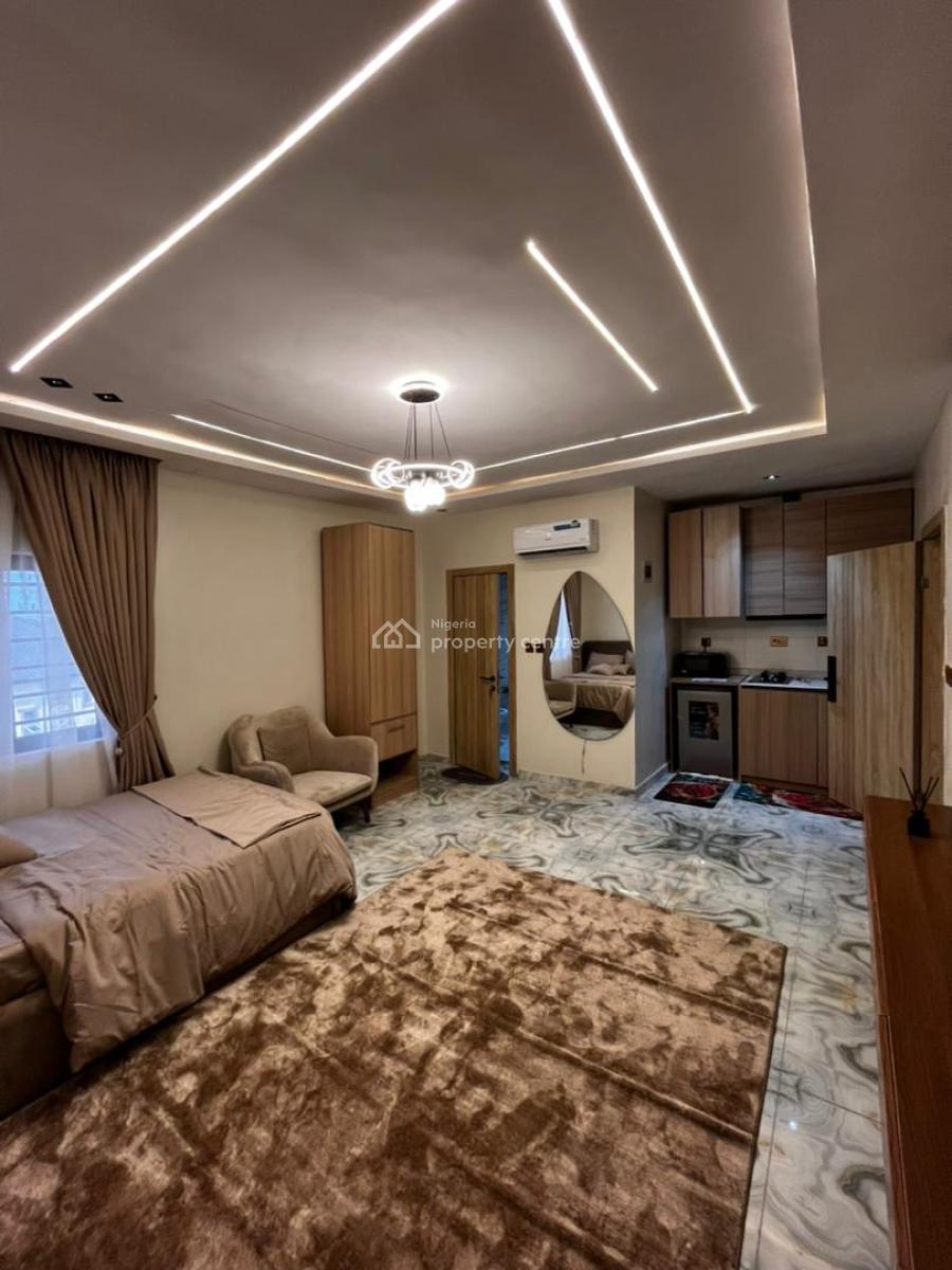 Massive Fully Furnished Studio Apartment, in a Well Serene Environmen, Massive Studio Apartment with Constant Electricity, Surulere Lagos, Surulere, Lagos, Self Contain (single Rooms) for Sale