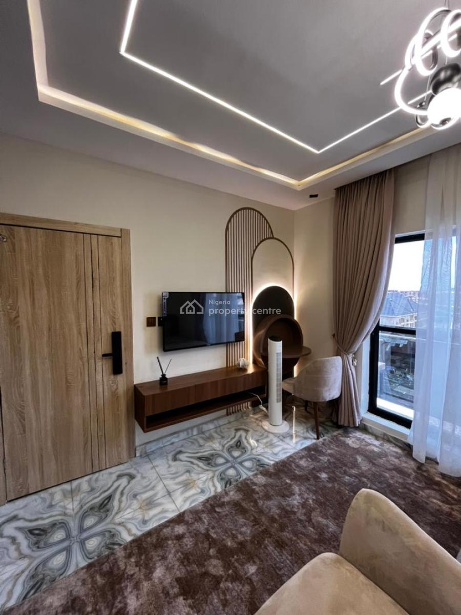 Massive Fully Furnished Studio Apartment, in a Well Serene Environmen, Massive Studio Apartment with Constant Electricity, Surulere Lagos, Surulere, Lagos, Self Contain (single Rooms) for Sale