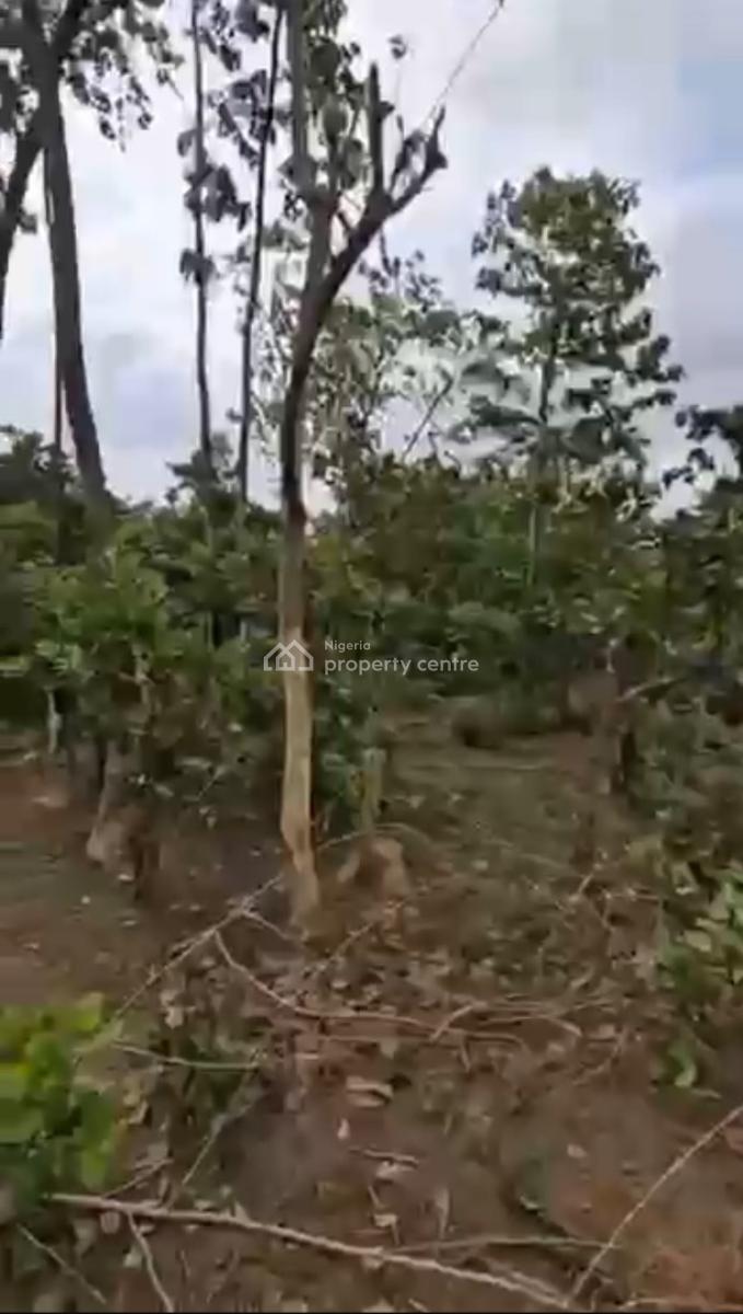3 Hectares Land, Katampe Extension, Katampe Extension, Katampe, Abuja, Mixed-use Land for Sale