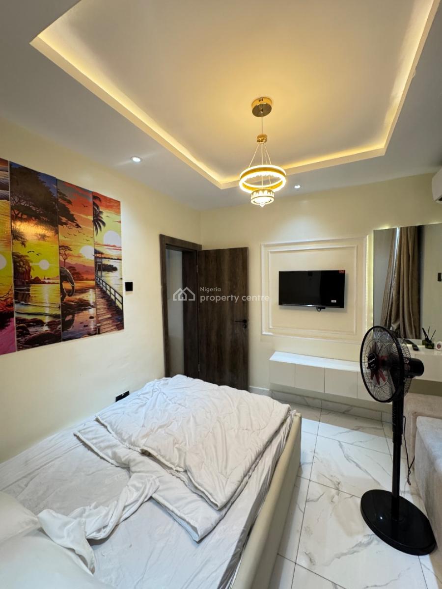 Luxurious Fully Furnished 3 Bedroom Apartment with Lots of Accessories, Off Adetola, Surulere, Lagos, Flat / Apartment for Sale