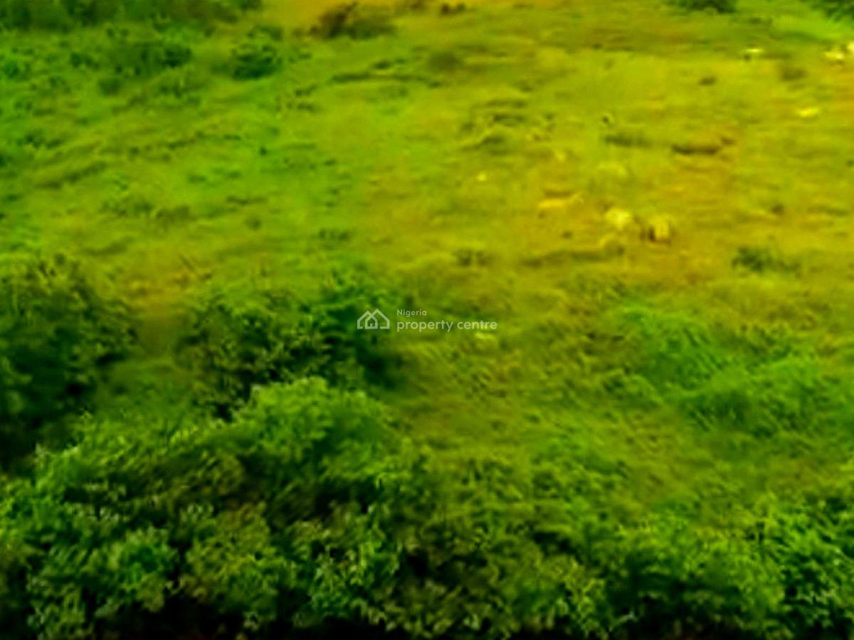a Prime 5.6 Hectares Land, Koko, Sapele, Delta, Industrial Land for Sale