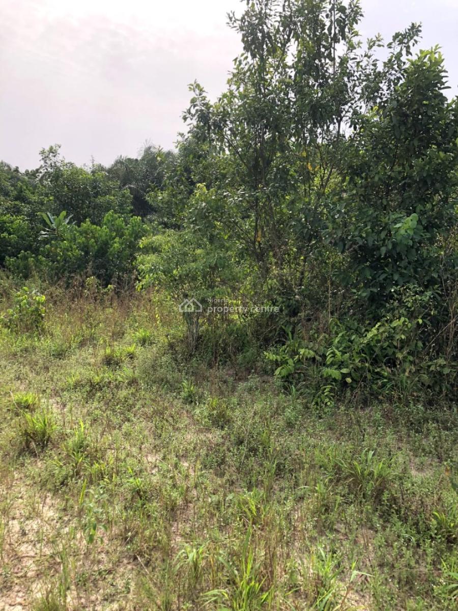Estate Property, Olomowewe Origanrigan Osoroko, Ibeju Lekki, Lagos, Commercial Property for Sale
