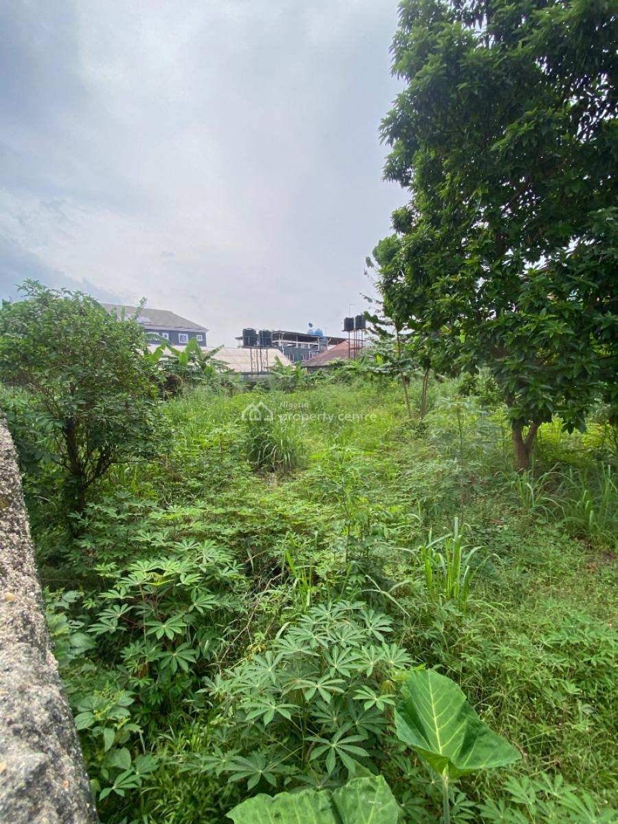 Well Located and Table Dry 2plots of Land , Gated with Fence, New Road / Adageorge, Port Harcourt, Rivers, Residential Land for Sale