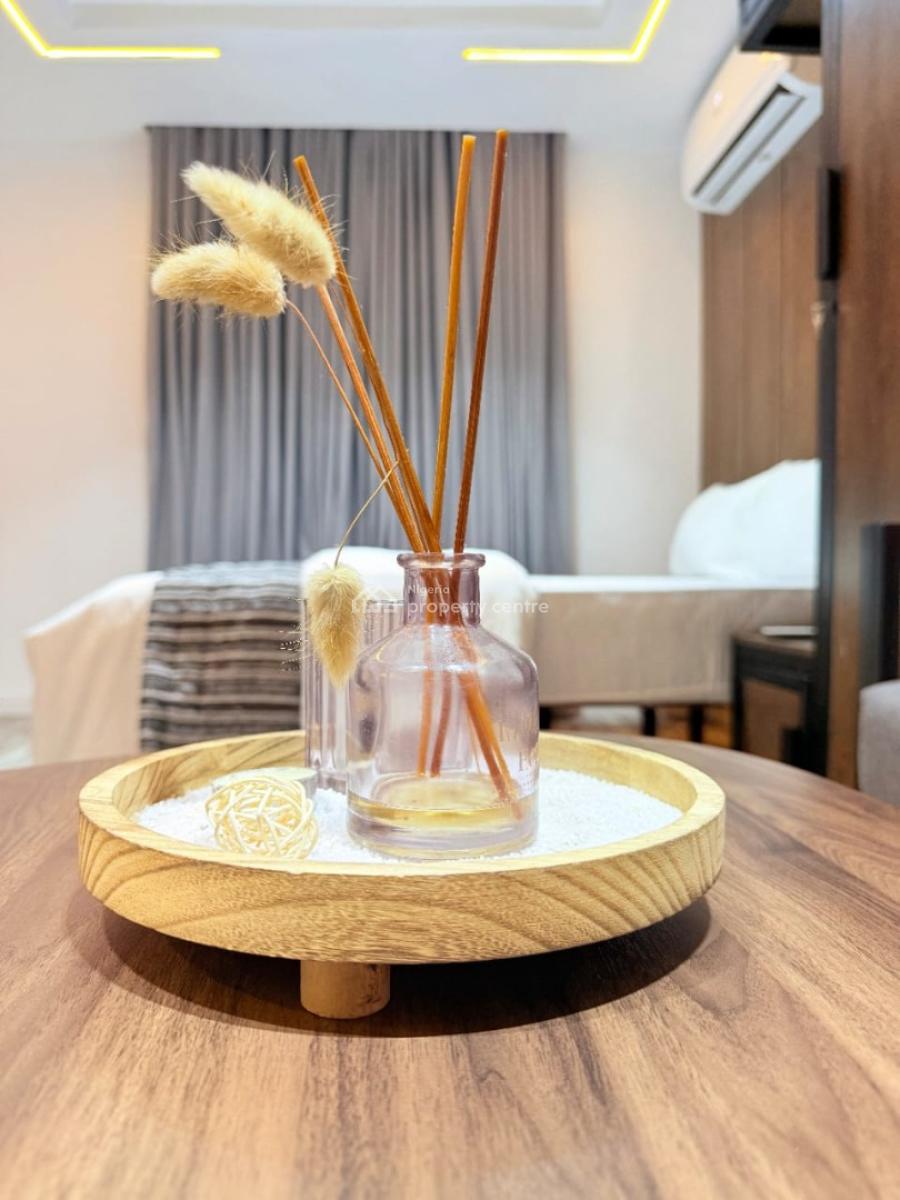 Lenedo Forge Studio Apartment with Office Work Space, Joseph Harrison Street, Iwaya, Yaba, Lagos, Flat / Apartment Short Let