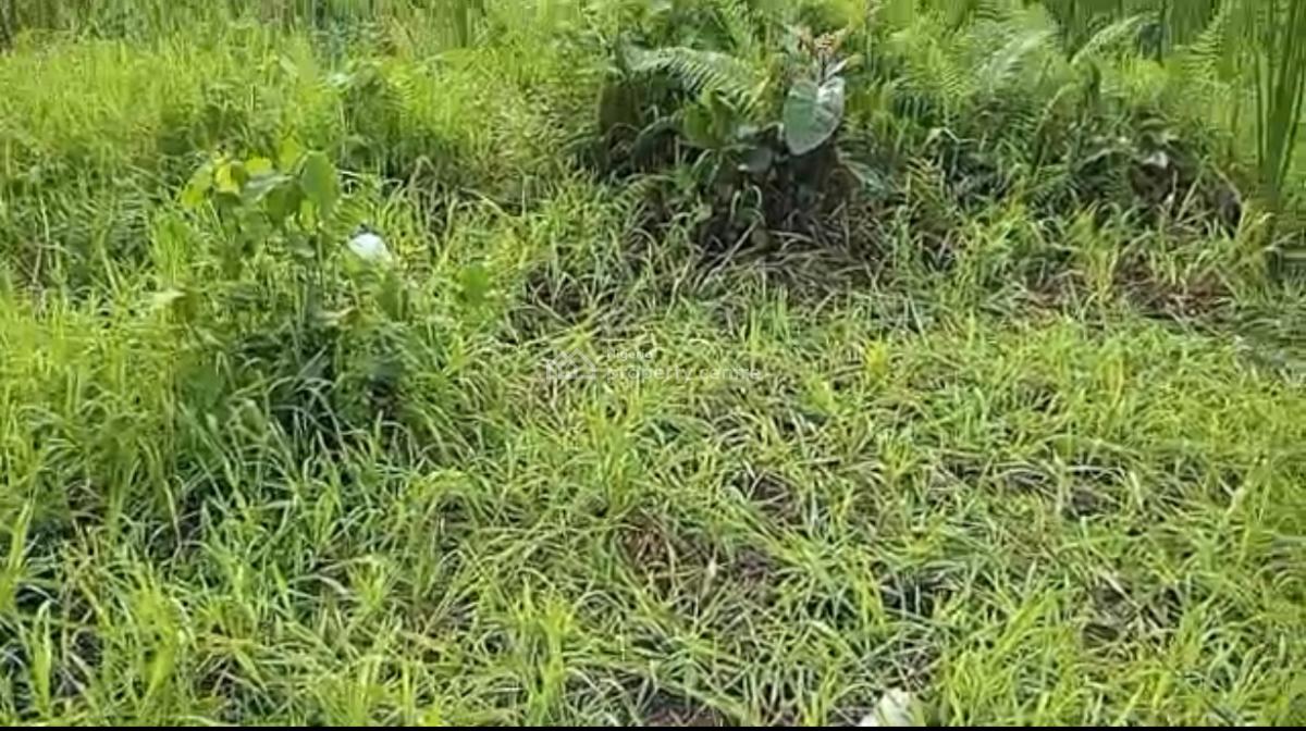 1plot of Land, New Road, Awoyaya, Ibeju Lekki, Lagos, Mixed-use Land for Sale