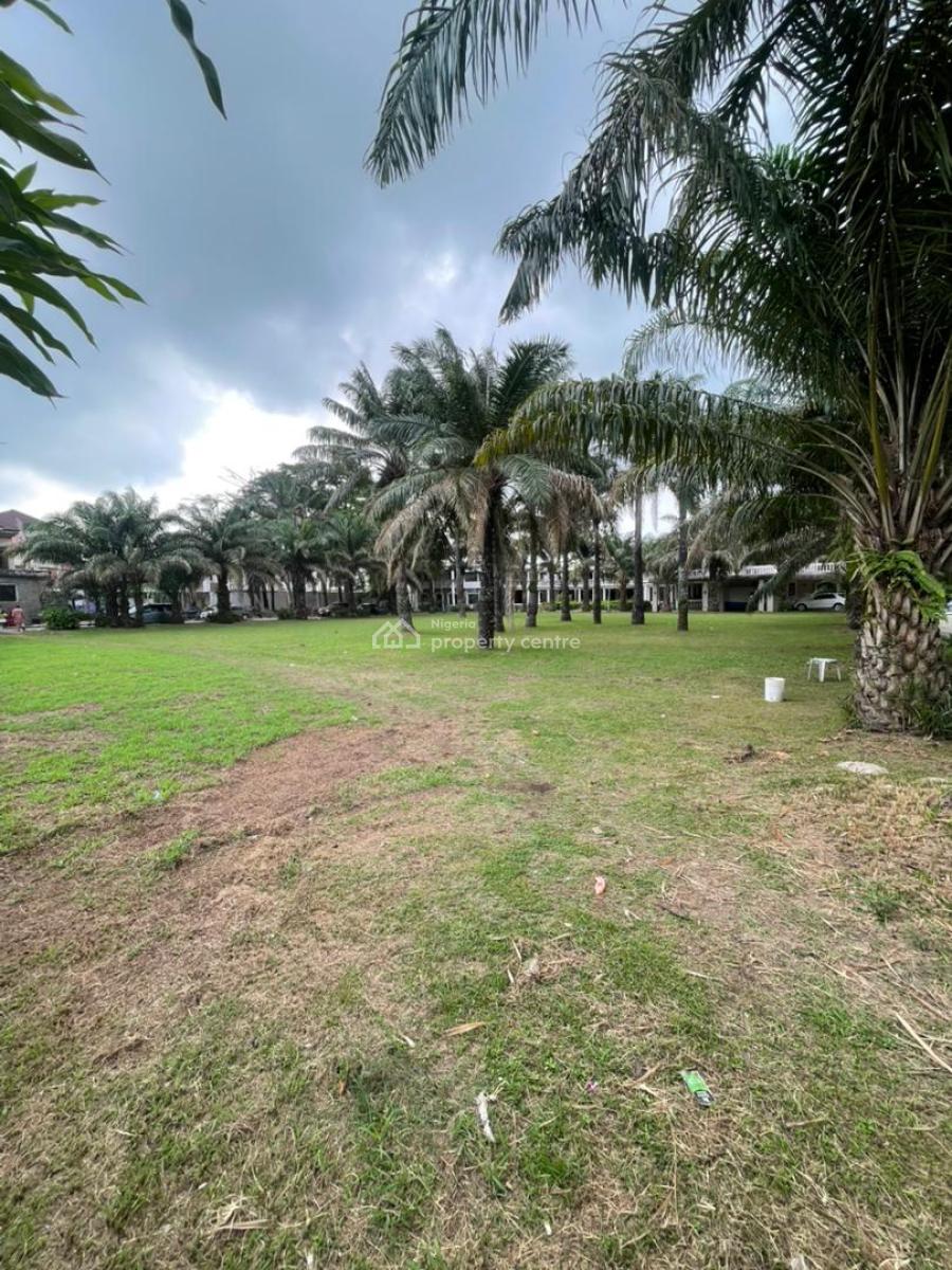Royal Large Castle Mansion of 9000sqm Land Size, Ikate, Lekki, Lagos, Detached Duplex for Sale