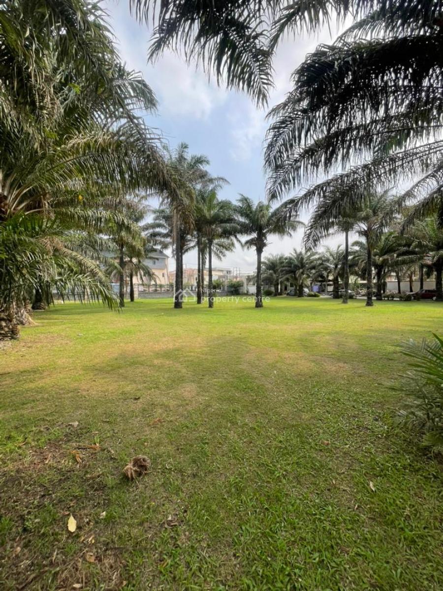 Royal Large Castle Mansion of 9000sqm Land Size, Ikate, Lekki, Lagos, Detached Duplex for Sale