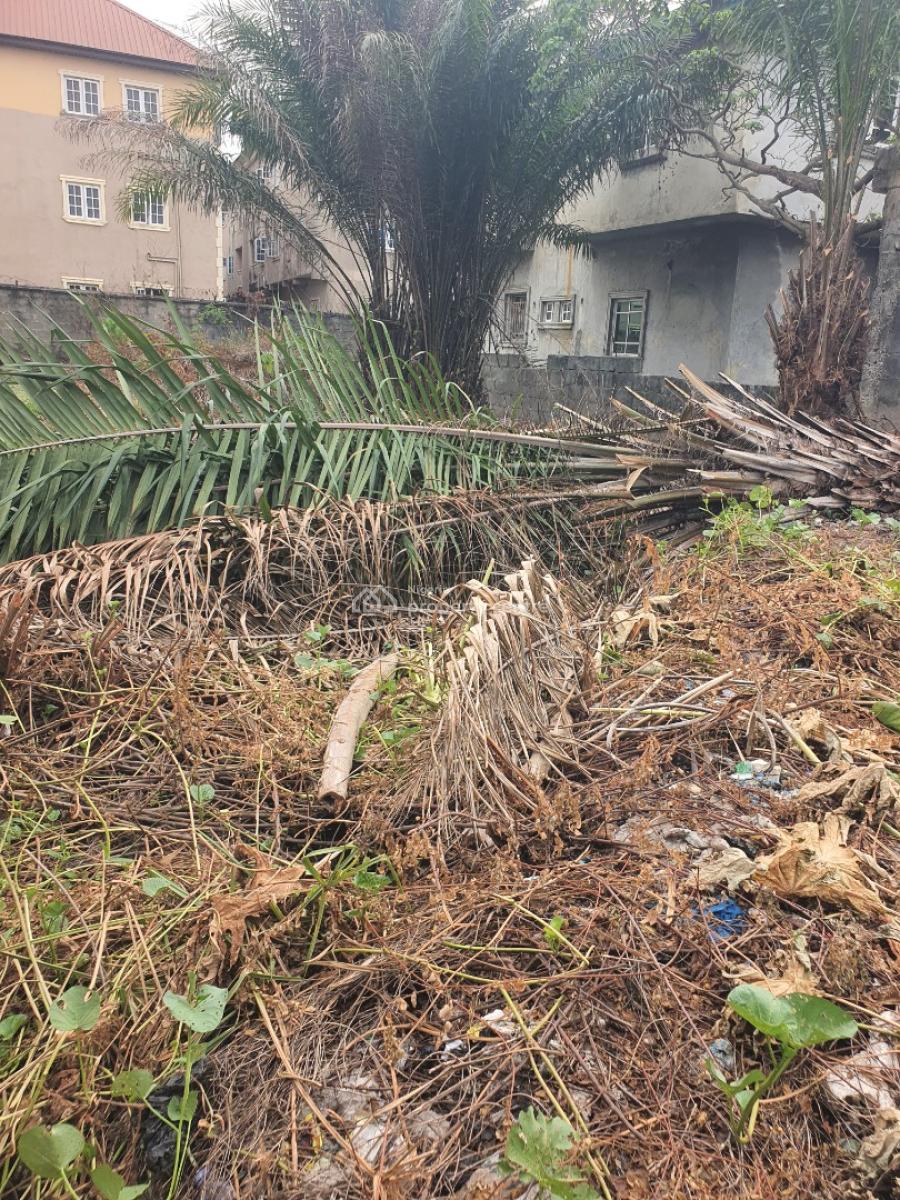 Half Plot of Land in a Well Populated Area and Within an Estate, Off Badore Road, Badore, Ajah, Lagos, Residential Land for Sale