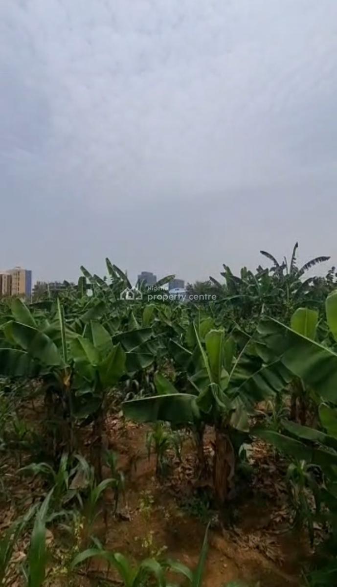 Size: 2854sqm Land, Central Business District, Abuja, Land for Sale