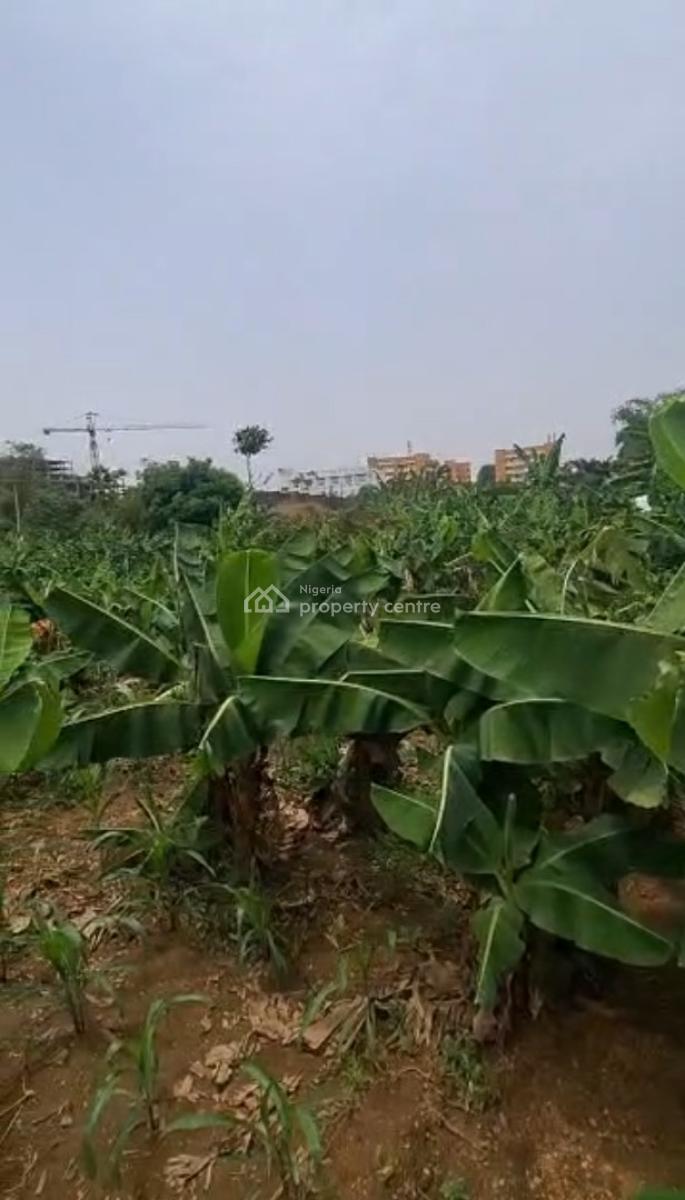Size: 2854sqm Land, Central Business District, Abuja, Land for Sale