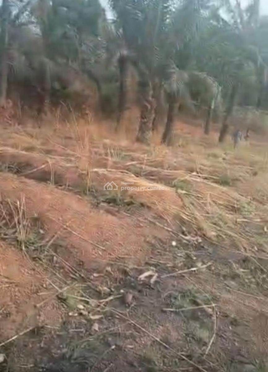 Prime 1712sqm Commercial/residential Land, Enugu-port Harcourt Express Way, Nkanu, Enugu, Mixed-use Land for Sale