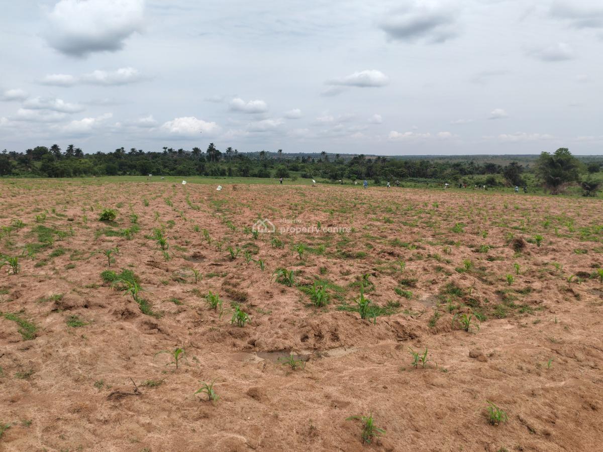 Goct Apptoved  Green Estate with C of O  Title, Solex Graden Estate Off Lekki Epe Express Way, Ibeju Lekki, Lagos, Mixed-use Land for Sale