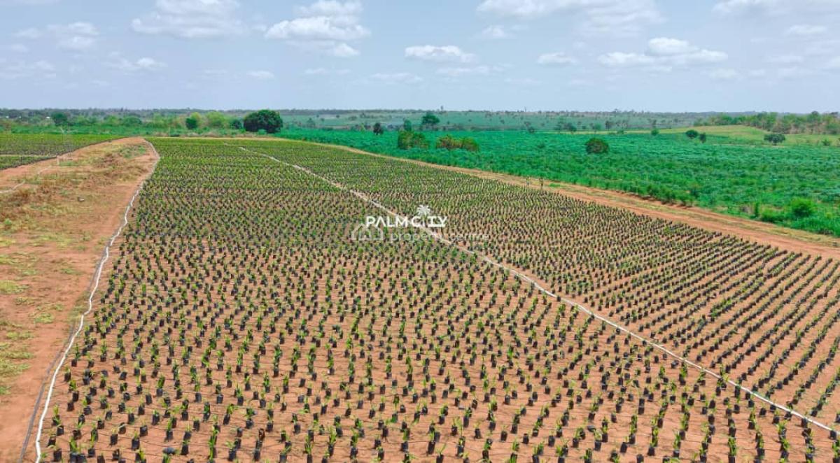 Join Our Palm Tree Investment Where We Farm for You, Ogbomosho North, Oyo, Commercial Property for Sale
