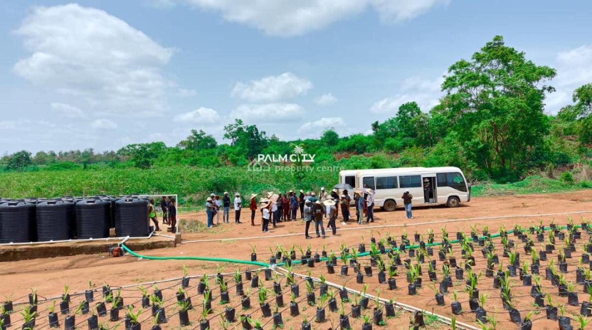 Join Our Palm Tree Investment Where We Farm for You, Ogbomosho North, Oyo, Commercial Property for Sale