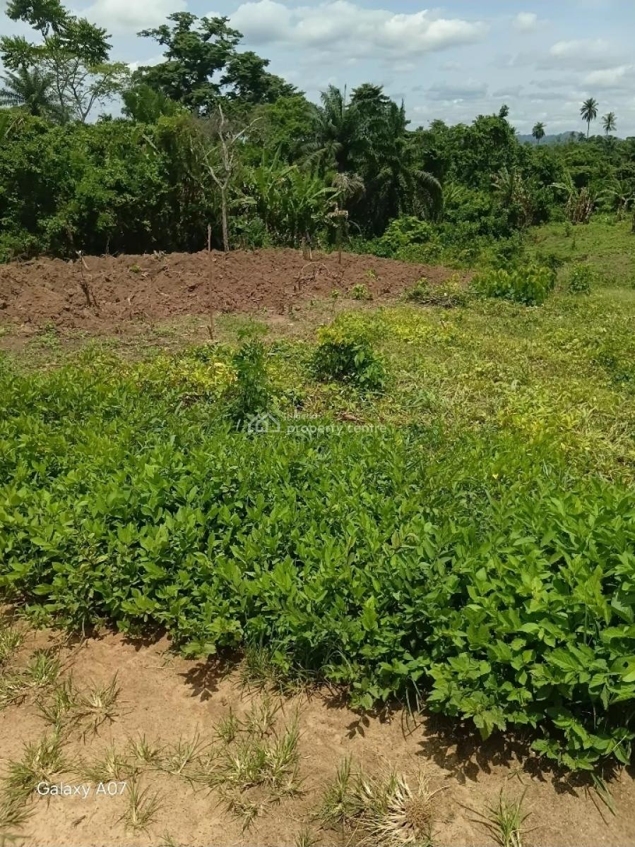 2 Plots of Land, After Prayer Centre, Akure, Ondo, Land for Sale