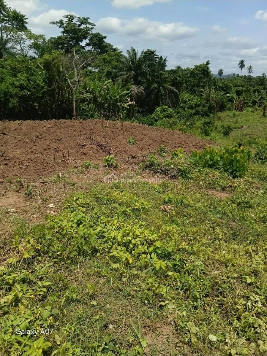2 Plots of Land, After Prayer Centre, Akure, Ondo, Land for Sale