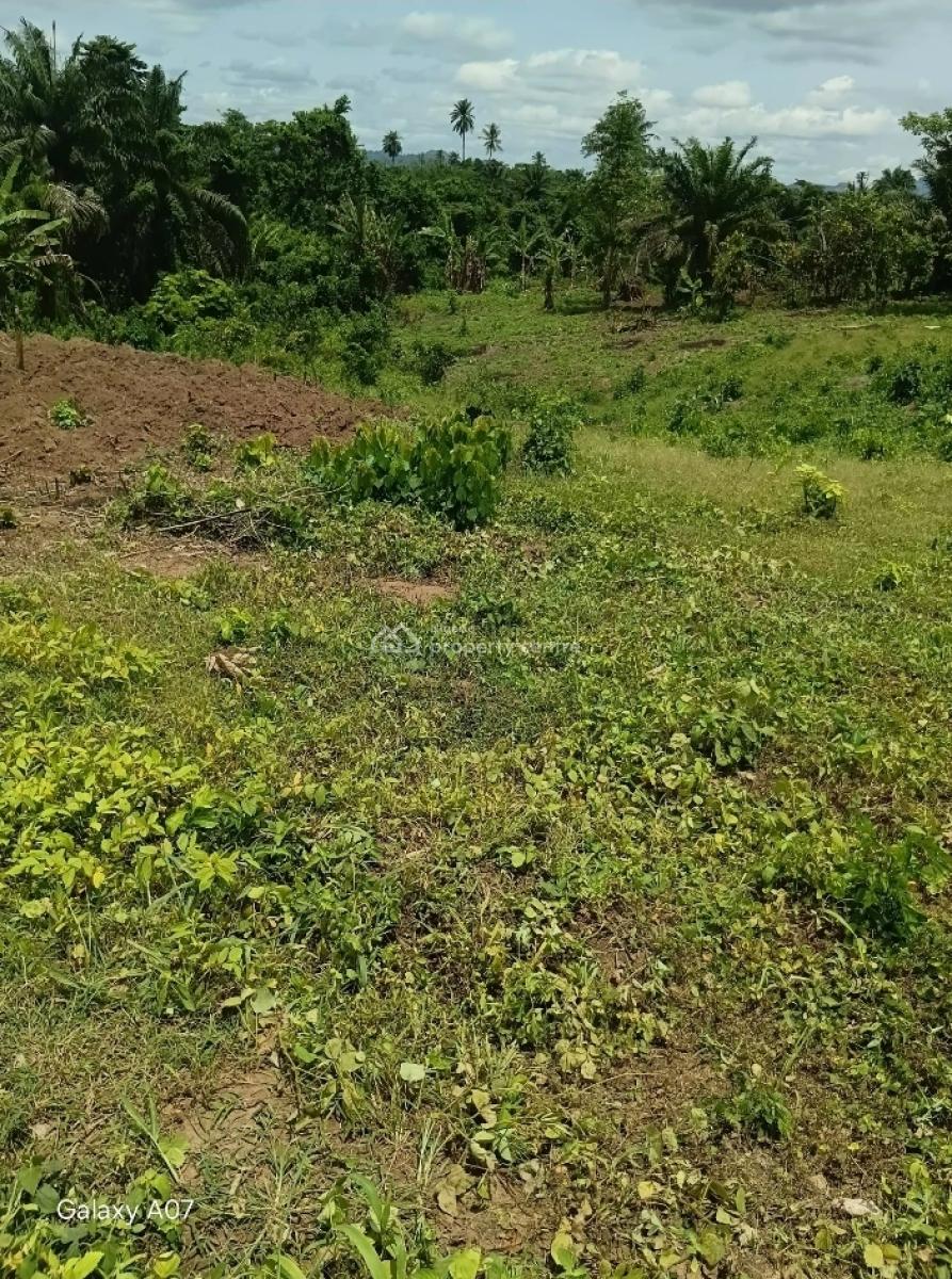 2 Plots of Land, After Prayer Centre, Akure, Ondo, Land for Sale