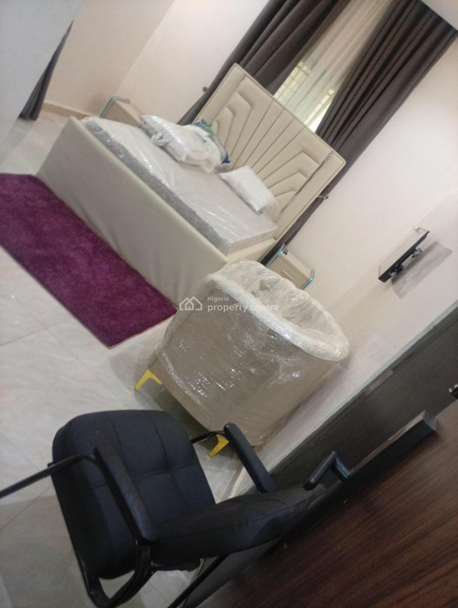Smartly Furnished and Serviced 5 Bedroom Fully Detached Duplex with Bq, Asokoro District, Abuja, Detached Duplex for Rent