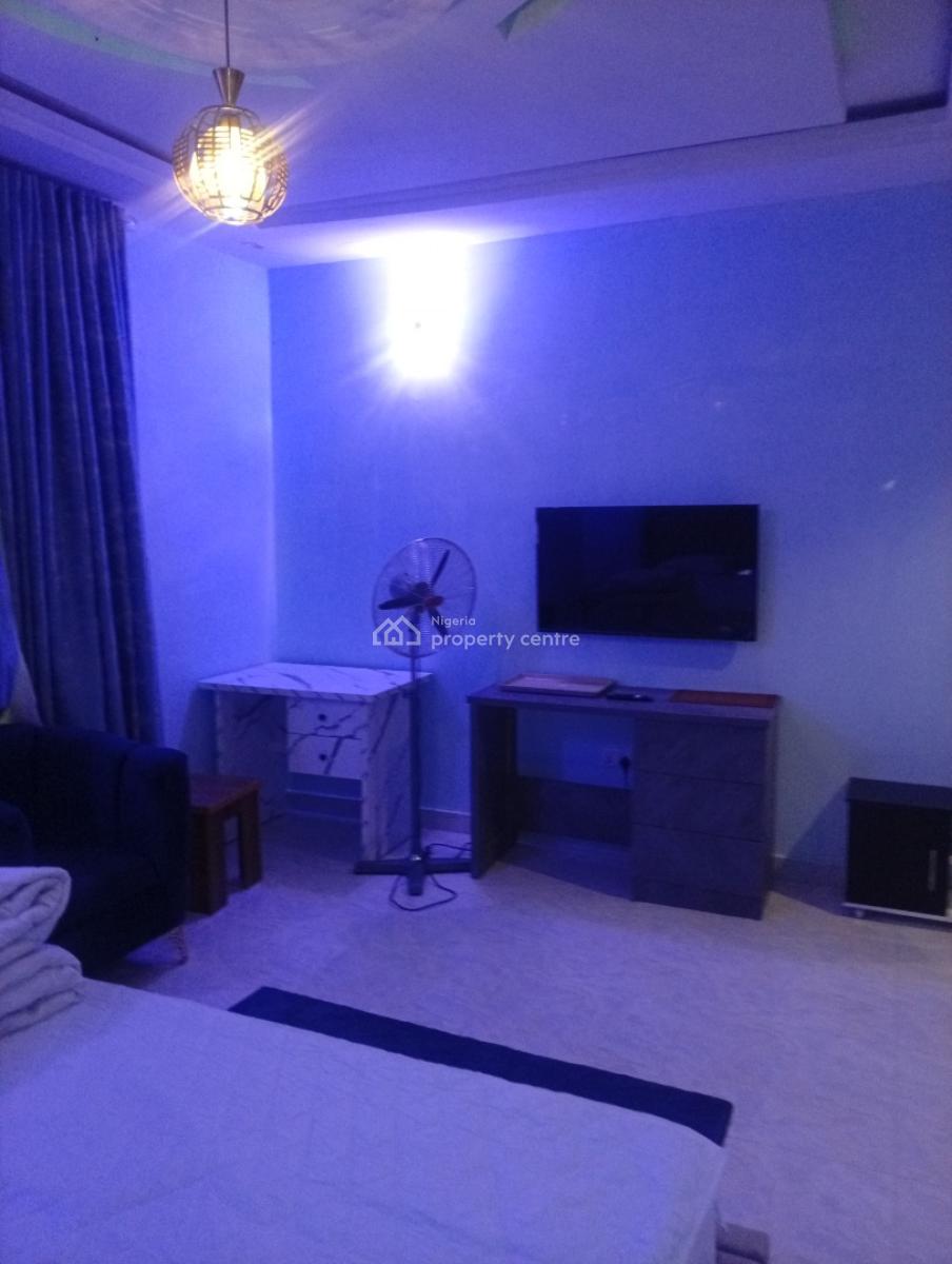 Smartly Furnished and Serviced 5 Bedroom Fully Detached Duplex with Bq, Asokoro District, Abuja, Detached Duplex for Rent