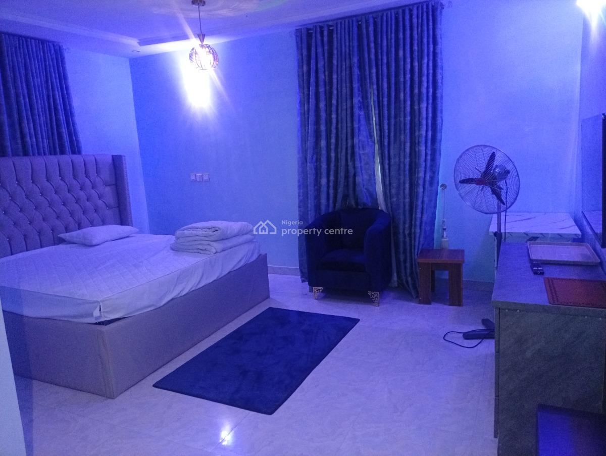 Smartly Furnished and Serviced 5 Bedroom Fully Detached Duplex with Bq, Asokoro District, Abuja, Detached Duplex for Rent