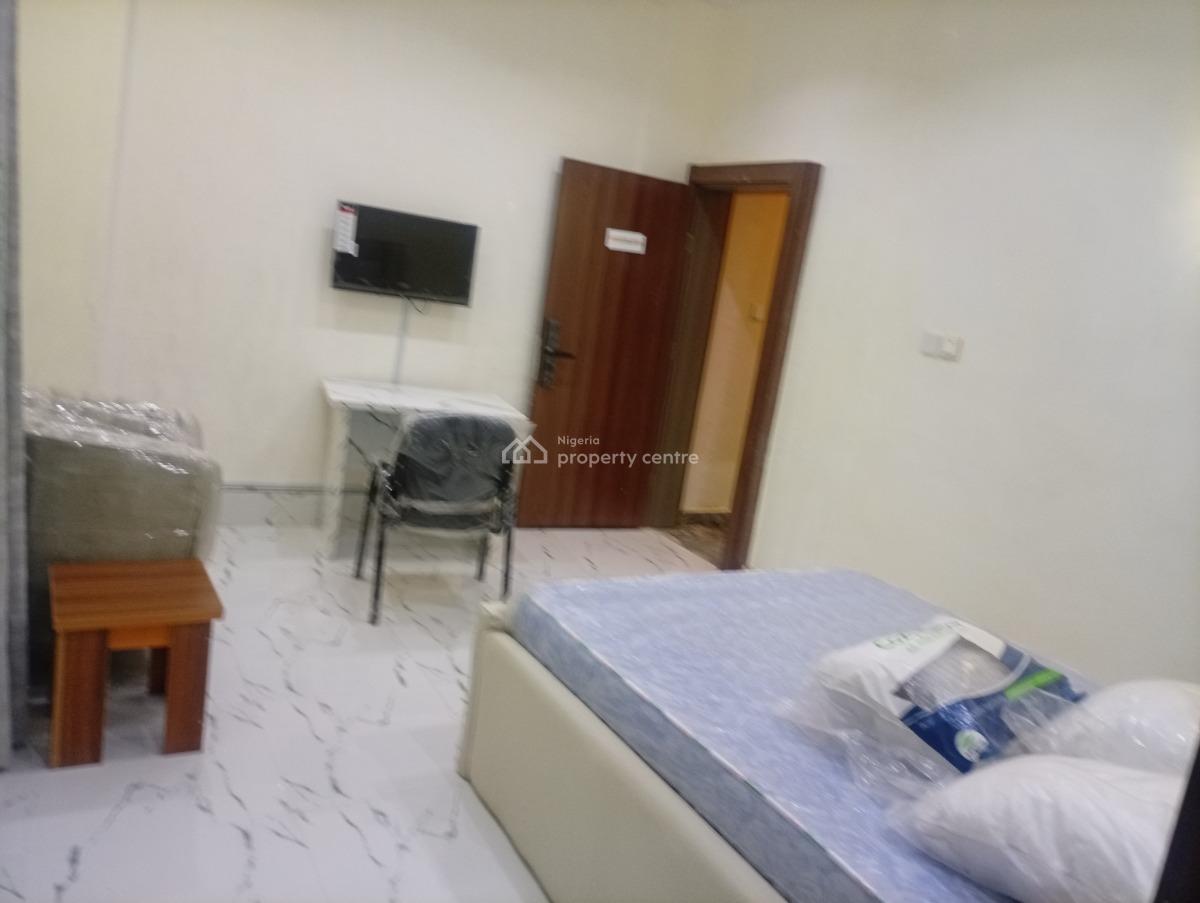 Smartly Furnished and Serviced 5 Bedroom Fully Detached Duplex with Bq, Asokoro District, Abuja, Detached Duplex for Rent
