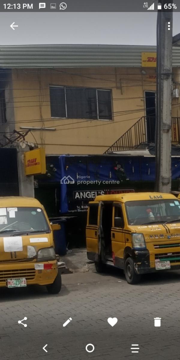 Duplex, Bode Thomas Animashun, Surulere, Lagos, Detached Duplex for Sale
