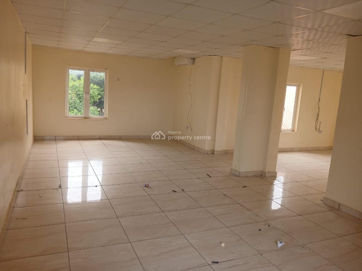 Well Built 6 Bedroom Fully Detached Duplex with 2room Bq, Navy Town Estate Asokoro Diplomatic Zone Abuja, Asokoro District, Abuja, Detached Duplex for Sale