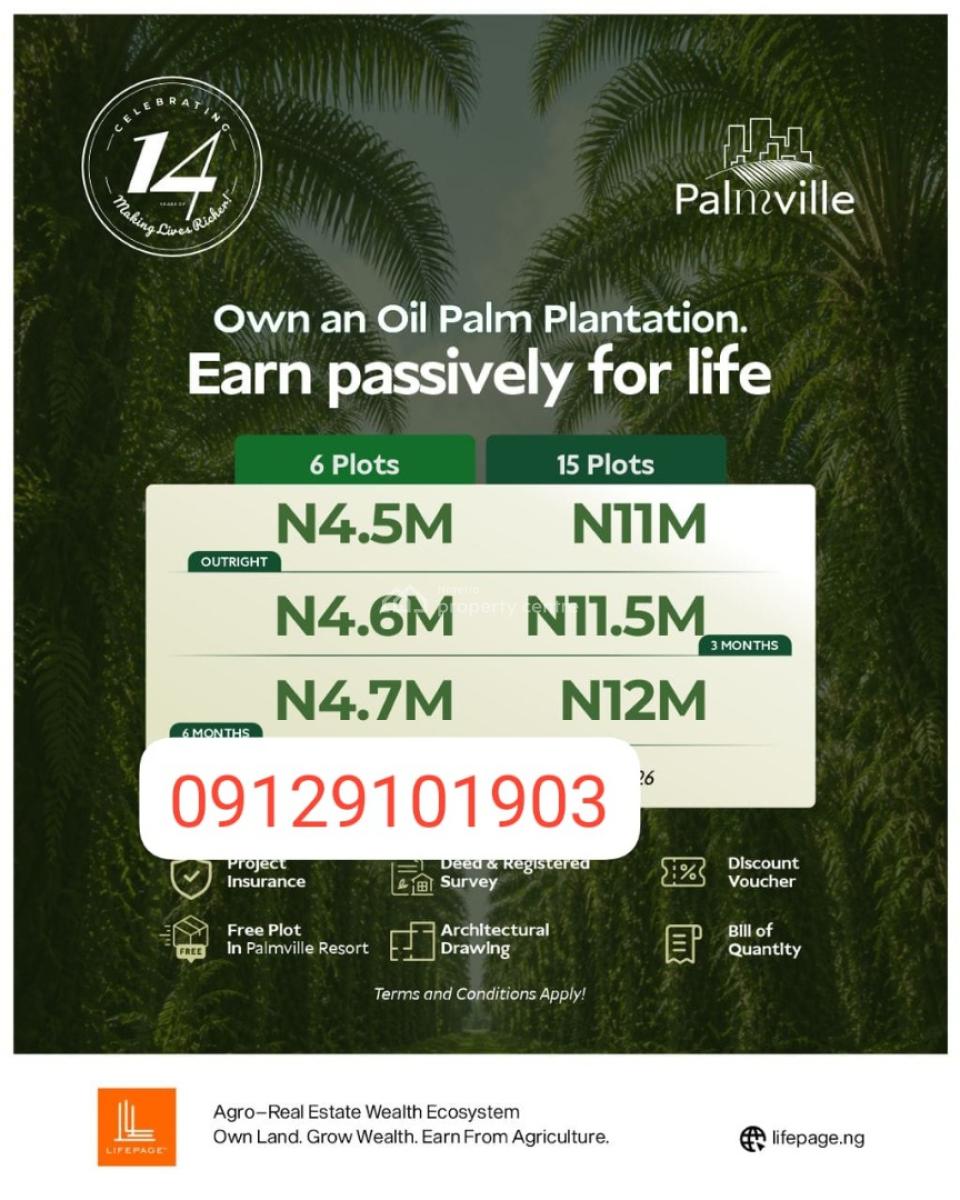Acres of Affordable Palm Trees in Obafemi Owode, Obafemi Owode, Obafemi Owode, Ogun, Commercial Land for Sale