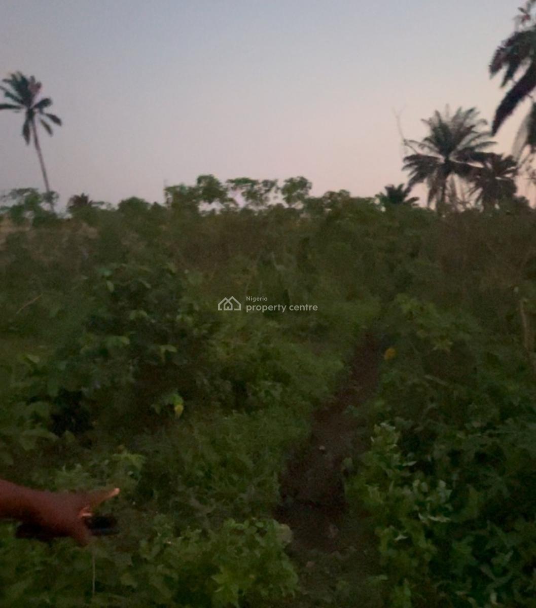 6 Plots + ½ Plot Free Land, Port Harcourt, Obio-akpor, Rivers, Residential Land for Sale